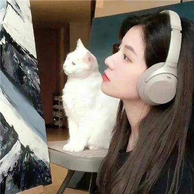 暴力之音